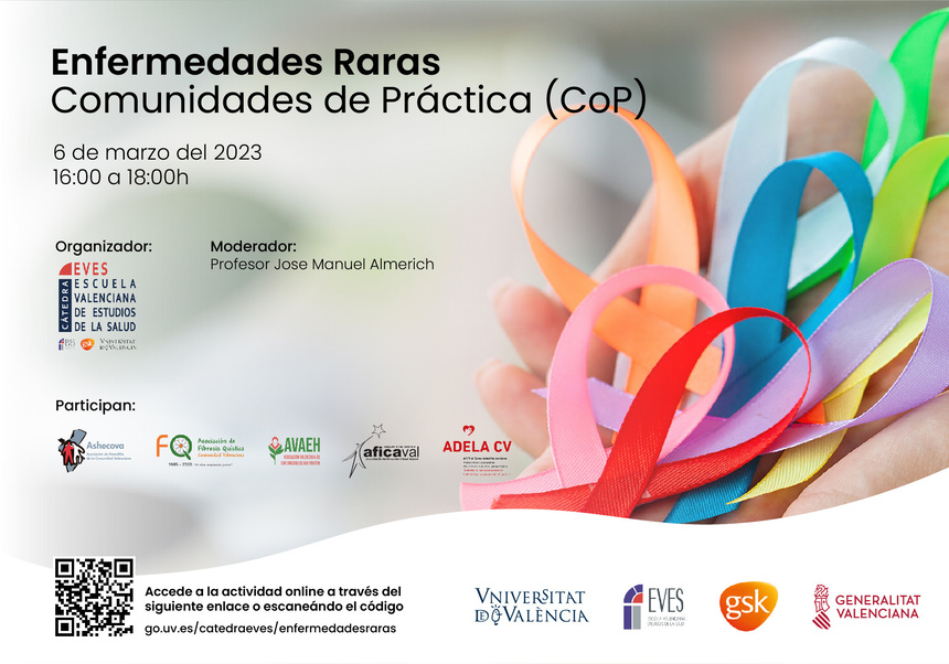 Cartell de l'activitat